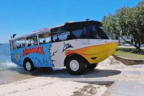 Aquaduck Gold Coast & IFLY - Accommodation Georgetown 0