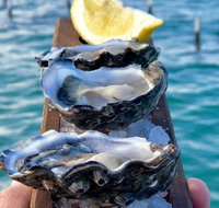 Coffin Bay Oysters Ocean  Nature Tour - Accommodation Georgetown