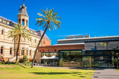 Arrival Private Transfers: Adelaide Airport ADL To Adelaide In Luxury Van - Accommodation Georgetown 5