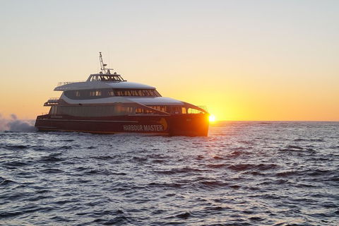 Afternoon Gordon River Dinner Cruise - Departing 3pm - Accommodation Georgetown 0