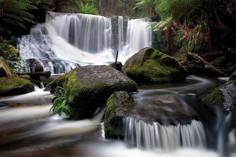 Highlights Of Tasmania Premium Small Group 7 Days Touring Package - Accommodation Georgetown 7