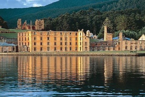 Highlights Of Tasmania Premium Small Group 7 Days Touring Package - Accommodation Georgetown 2