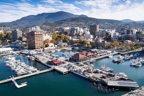 Highlights Of Tasmania Premium Small Group 7 Days Touring Package - Accommodation Georgetown 11