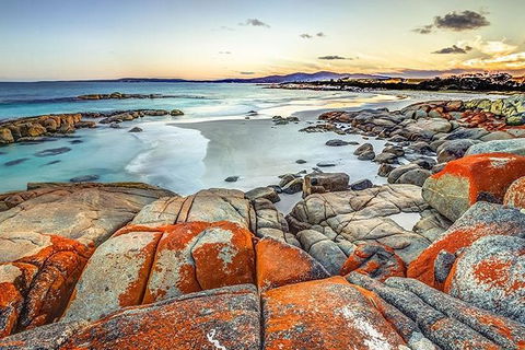 Highlights Of Tasmania Premium Small Group 7 Days Touring Package - Accommodation Georgetown 12