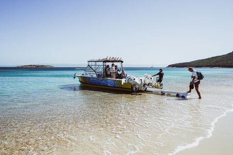 Sea & Explore Wineglass Bay & Freycinet National Park - Cruise & Walk - Accommodation Georgetown 3