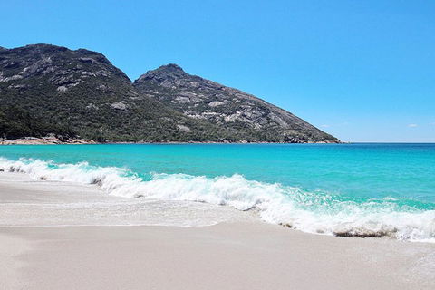 Sea & Explore Wineglass Bay & Freycinet National Park - Cruise & Walk - Accommodation Georgetown 4