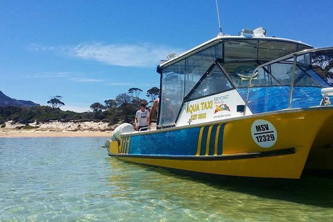 Sea & Explore Wineglass Bay & Freycinet National Park - Cruise & Walk - Accommodation Georgetown 1