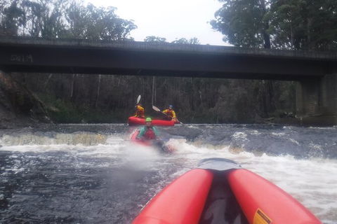 Twin Rivers Winter Adventure - Accommodation Georgetown 4