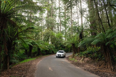LGBT+ Friendly 3 Day Tour The Grampians, Daylesford & Ballarat - Accommodation Georgetown 1