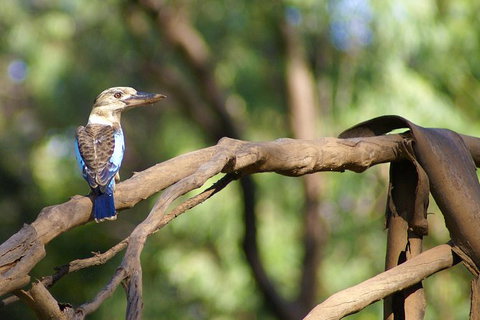 Ord River Experience With Riverside Lunch - Accommodation Georgetown 1