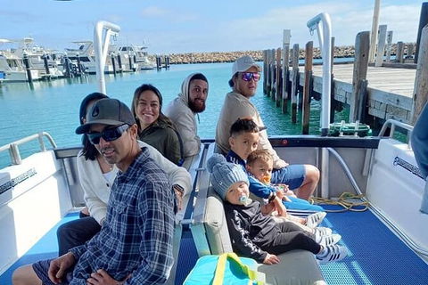 Whale Watching Boat Tour In Geraldton - Accommodation Georgetown 1