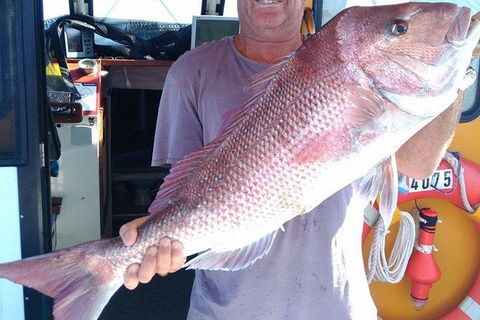 Geraldton Fishing Charter - Accommodation Georgetown 10