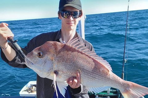 Geraldton Fishing Charter - Accommodation Georgetown 2