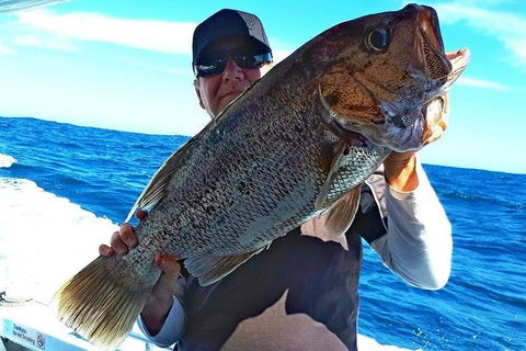 Geraldton Fishing Charter - Accommodation Georgetown 4