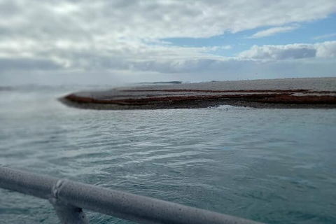 Abrolhos Islands Fishing Charter - Accommodation Georgetown 6