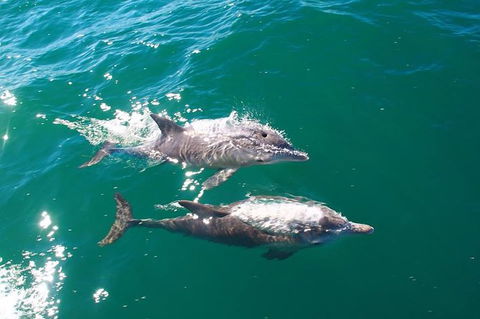 Sailing Kayak Adventure Through The Peel Harvey Estuary - Accommodation Georgetown 1