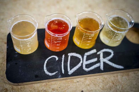 Bickley Valley Wine & Cider Tour - Premium Small Group Tour - Accommodation Georgetown 1