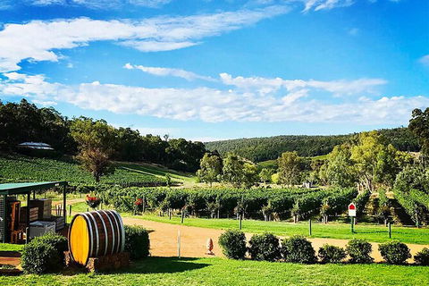 Bickley Valley Wine & Cider Tour - Premium Small Group Tour - Accommodation Georgetown 0
