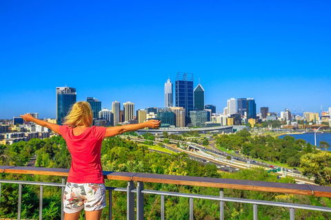 Full-Day Gourmet Wine Tour With Pick Up And Lunch - Accommodation Georgetown 2