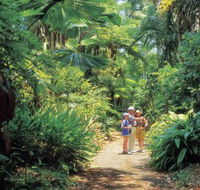 Sir Thomas Brisbane Planetarium - Accommodation Georgetown