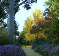 Albury Botanic Garden - Accommodation Georgetown