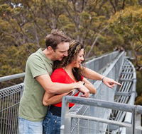 Valley of the Giants Tree Top Walk - Accommodation Georgetown