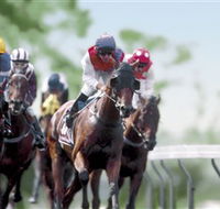 Colac Turf Club - Accommodation Georgetown