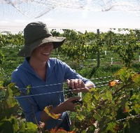 Kingsdale Wines - Accommodation Georgetown