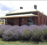 Lavender House in Railway Park - Accommodation Georgetown