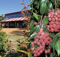 Bushfood Factory and Cafe - Accommodation Georgetown