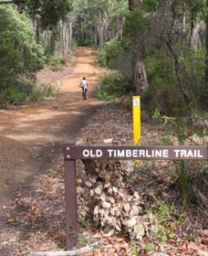 Darradup WA Accommodation Georgetown