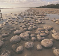 Lake Clifton Thrombolites - Accommodation Georgetown
