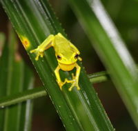 Daintree River Cruise Centre - Accommodation Georgetown