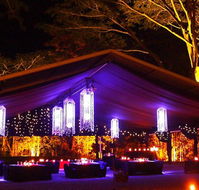 Flames Of The Forest - Accommodation Georgetown