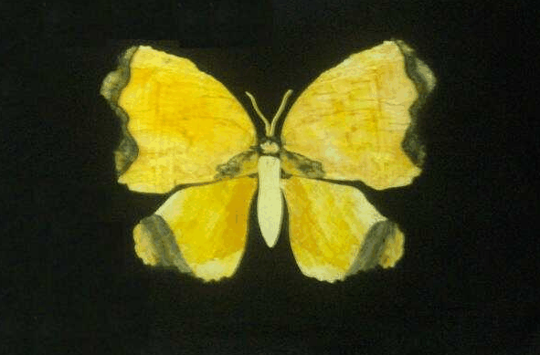 Ashworths - Accommodation Georgetown 0