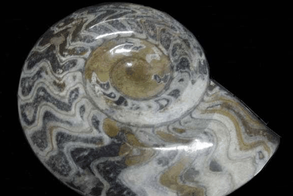 Ashworths - Accommodation Georgetown 2