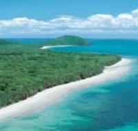 Reef and Rainforest Connections - Accommodation Georgetown