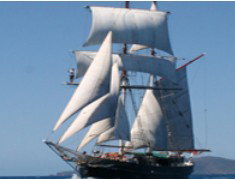 Adventure Catamarans Dive And Sail - Accommodation Georgetown 0