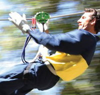 Adventure Parc - Accommodation Georgetown