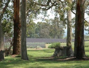Amosfield QLD Accommodation Georgetown