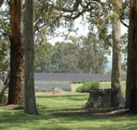 Aloomba Lavender - Accommodation Georgetown