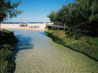 Australia Fraser Island Escape - Accommodation Georgetown 0