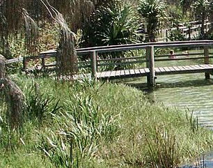 Australia Fraser Island Escape - Accommodation Georgetown 1