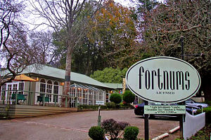 Accommodation Georgetown