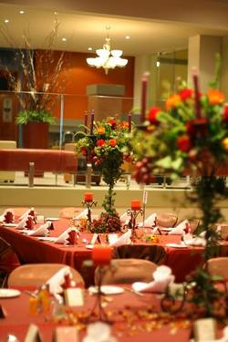 Forest Inn Hotel - Accommodation Georgetown 0