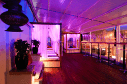 Circus Bar  Night Club - Accommodation Georgetown