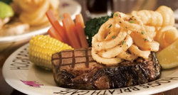 Hogs Breath Cafe - Accommodation Georgetown 1