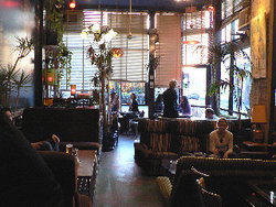 Blackcat - Accommodation Georgetown 1