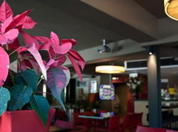The Buckland Hotel - Accommodation Georgetown 1