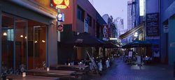 Golden Monkey - Accommodation Georgetown 2